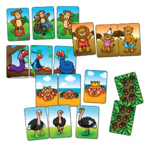 Animal Families